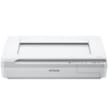 Scanner Professionnel à Plat WorkForce DS-50000 A3