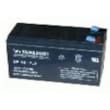 Batterie RB19 12V 7AH Rechargable