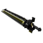 Développeur Jaune DV313Y pour C258 C308 C368