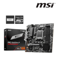 Carte Mère PRO B650M-P