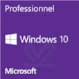 MS Win Pro 10 64Bit French 1pk DSP OEI DVD FQC-08920