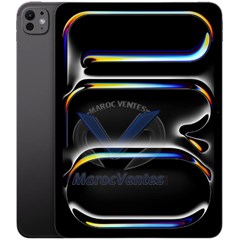 iPad Pro 11 pouces (2024) Wi-Fi + Cellulaire 256 Go avec Vitre Standard SPACE BLACK MVW13