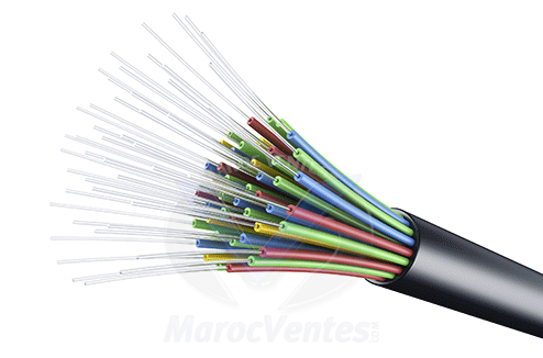 CABLE FIBRE OPTIQUE 12 BRINS MULTIMODE ARME 50/125 OM3 LINK-TECH LIN-FIB/12B.MUL_3