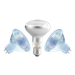 Ampoules-Led-Halogènes