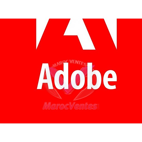 ADOBE LICENCE CS6 ADOBE DESIGN STD MULTIPLE LODEA291