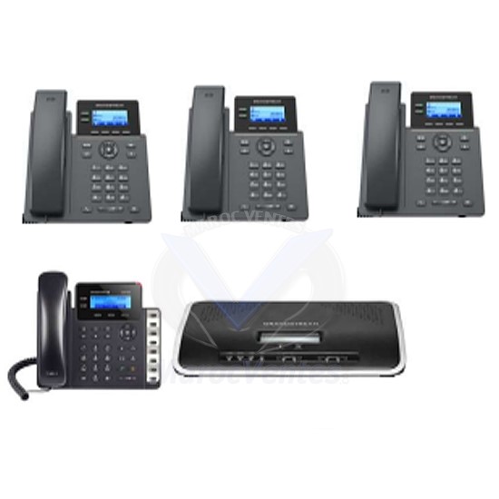 PACK UCM6202 de Téléphonie IP Grandstream PACK UCM6202