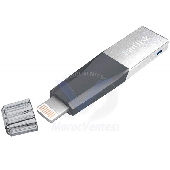 Clé USB SanDisk iXpand Mini 64 Go OTG pour iPhone SDIX40N-064G-GN6NN